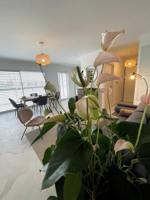 Magnifique Appartement A La Frontiere Suisse Сен-Луи Экстерьер фото